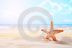 Starfish on summer sunny beach at ocean background. Travel, vac