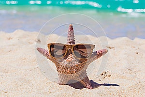 Starfish in sunglasses on beach