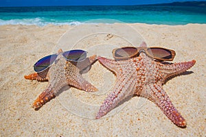 Starfish with sunglasses on beach