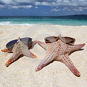 Starfish with sunglasses on beach