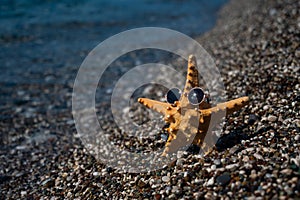 Starfish in sunglasses on a pebble beach by the sea.