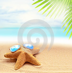 Starfish in sunglasses on the sandy beach and palm leaf