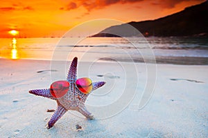 Starfish in sunglasses on sea beach