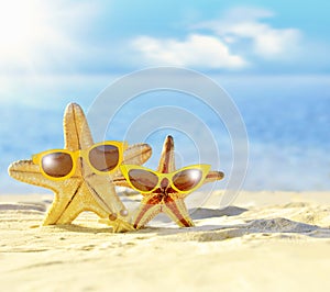 Starfish in sunglasses on the seashore. Beach.