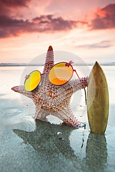 Starfish surfer on beach