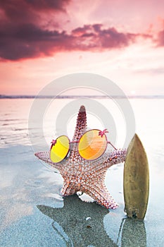 Starfish surfer on beach