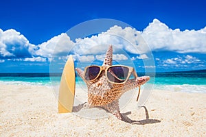 Starfish surfer on beach