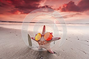 Starfish surfer on the beach