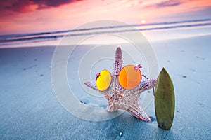 Starfish surfer on sea beach