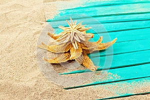 Starfish on top of each other in the form of Christmas tree on sand with blue boards. Concept New Year, vacation, beach