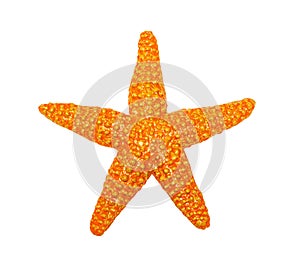 Starfish toy  isolated
