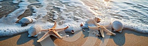 Starfish Trio on Sunny Beach