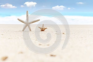 Starfish on tropical sandy summer ocean beach with beautiful blue sky as background, relaxing outdoor vacation on sea beach island