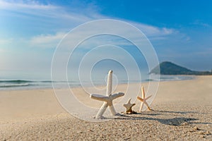 Starfish on tropical sandy summer ocean beach with beautiful cloudy blue sky as blurred background, relaxing outdoor vacation on