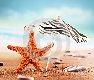 Starfish under umbrella on the summer beach.