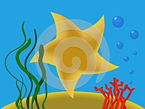 Starfish under water