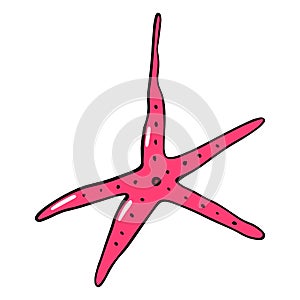 Starfish. Vector illustration in cartoon style. Can be used as stickers, decals, to decorate children`s rooms. Isolated on white