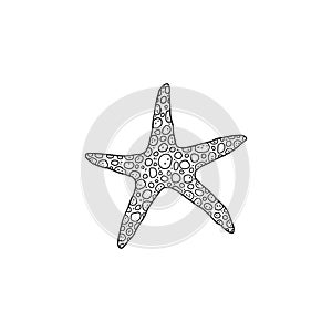Starfish. Vector wild ocean animal mollusk underwater life doodle black white line isolated illustration.