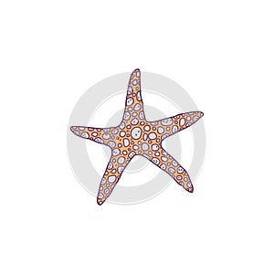 Starfish. Vector wild ocean animal mollusk underwater life doodle line isolated illustration.