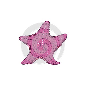 Starfish. Vector wild ocean animal mollusk underwater life doodle line isolated illustration.