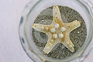 Starfish