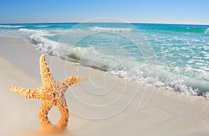 Starfish by Waves