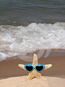starfish wearing heart sunglasses