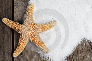 Starfish on Weathered Boards with Sand