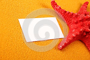 Starfish on the yellow sand