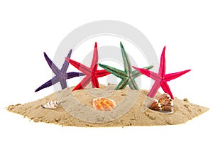 Starfishes