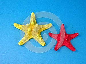 Starfishes