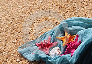 Starfishes on the beach