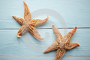 Starfishes on blue wooden background.