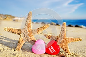 Starfishes with hearts on the sandy beach