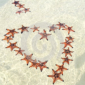 Starfishes on the Phu quoc island with heart shape , beautiful red starfish in crystal clear sea photo
