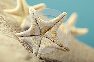 Starfishes in sand beach