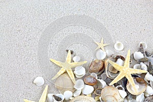 Starfishes and seashells on the beach
