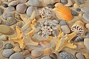 Starfishes, seashells and pebbles