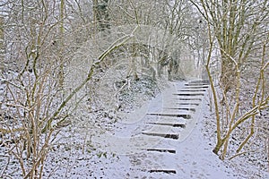 Staricase uphill along bare trees covered in snow n the  winter marsh in the Flemish countryside