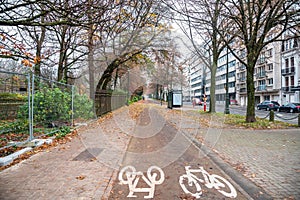 Staright tree lined bicycle path running along a street