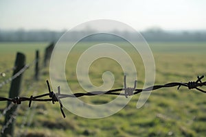 Stark Barbed wire field. Generate Ai