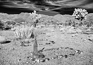 Stark cemetery scene, Chloride, Arizona, infrared