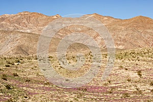 Stark dry southern California desert with blue sky, lonely empty and desolate, adventure hiking camping solitude, peaceful