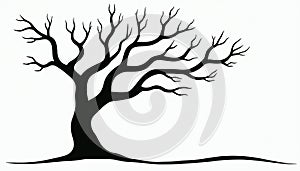 Black Silhouette of a Bare Tree on White Background