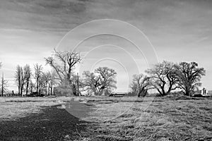 Stark monochrome rural farmland landscape during winter.