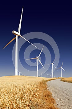 Stark White Power Generating Windmills