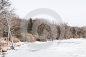 Stark winter landscape with bare trees and frozen river.