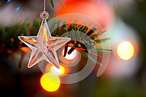 Starlet Christmas decorations photo