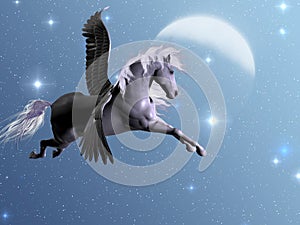 Starlight Pegasus