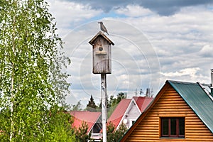 A starling on a birdhouse